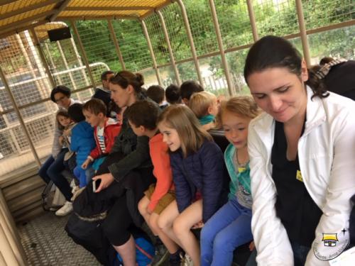 Sortie scolaire à planète sauvage pour les MS